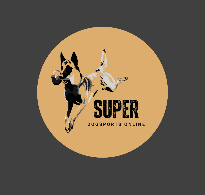 Super_logo