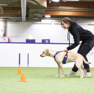 Ota nosework haltuun – alkeiskurssi aloitus 9.3.2026