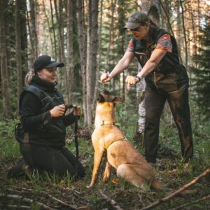 Hakuristeilyn alkeet