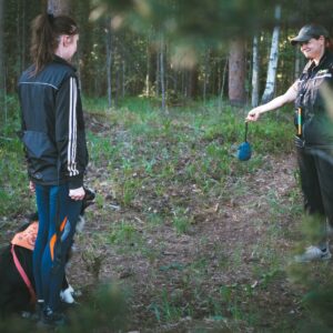 Esittele haamu – rakenna suorat pistot!