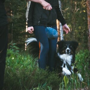 Rullailmaisun alkeet