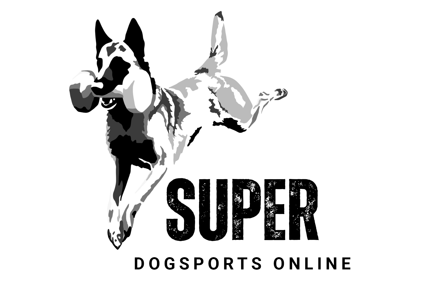 superdogsports.fi