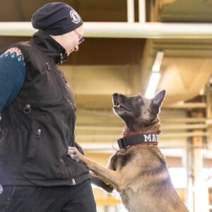 Useamman kätkön alueet, LUENTO