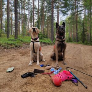 Innokas etsijä esineruudussa, LUENTO