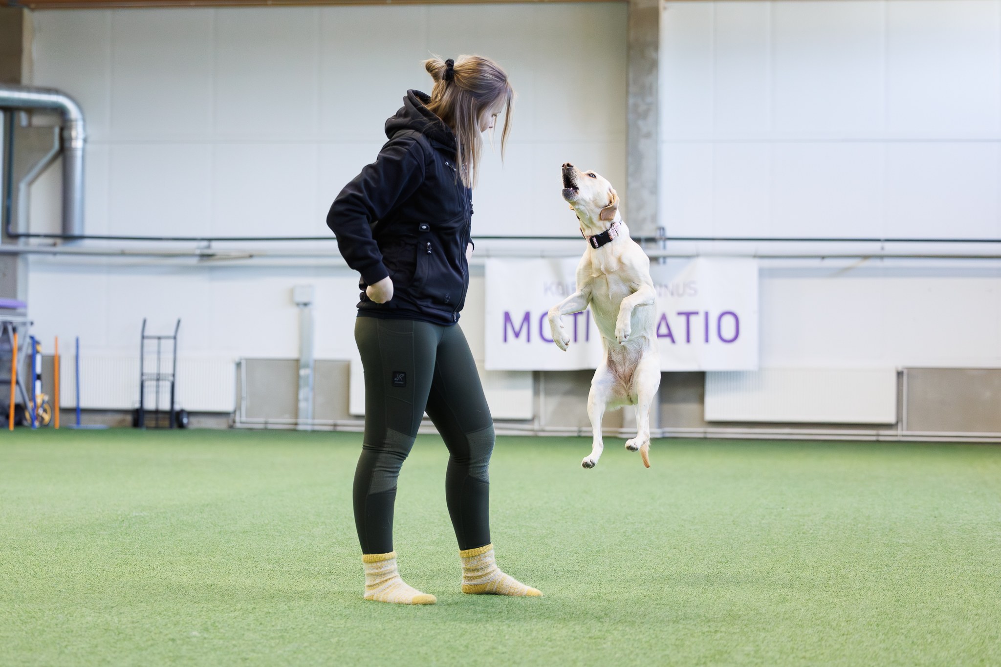 Read more about the article Kun intohimo uuvuttaa – vaarallinen suorittamisen kierre