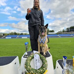 “Mitä jos…?” – tottelevaisuusluento vireestä, keskittymisestä, seuraamisesta ja paikallaolosta