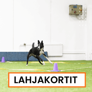 Lahjakortit
