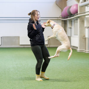 Miten kasvattaa aktiivisuutta? LUENTO