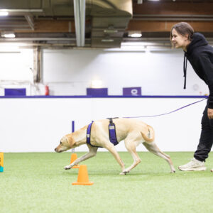 Noseworkin jatkokurssi aloitus 17.2.