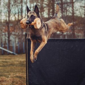 MITÄ JOS – LUENTO: NOUDOT JA ETEENLÄHETYS