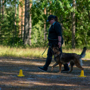 Rally-tokon vuoden 2026 uusien sääntöjen muutokset kisaamaan lähtevälle