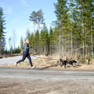 Koirajuoksijan startti – juoksukoulu 6 viikkoa