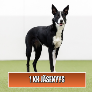 JÄSENYYS JATKUVA KK-hinnoittelulla