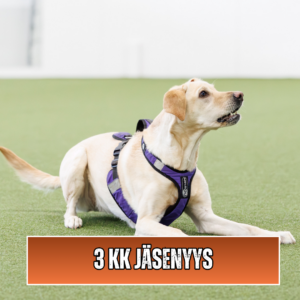 JÄSENYYS 3 KK