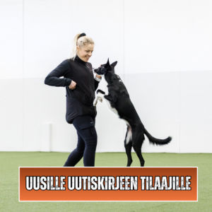 Uusien uutiskirjeen tilaajien jäsenyys