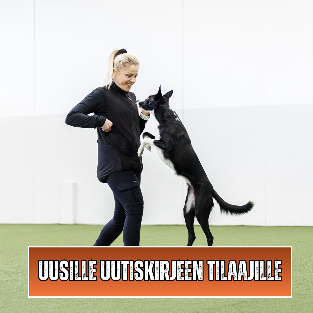Uusien uutiskirjeen tilaajien jäsenyys